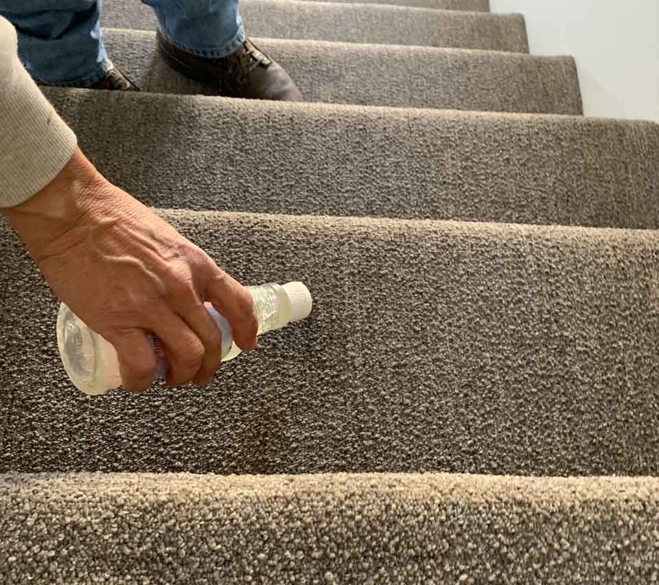 Restore Your Carpet