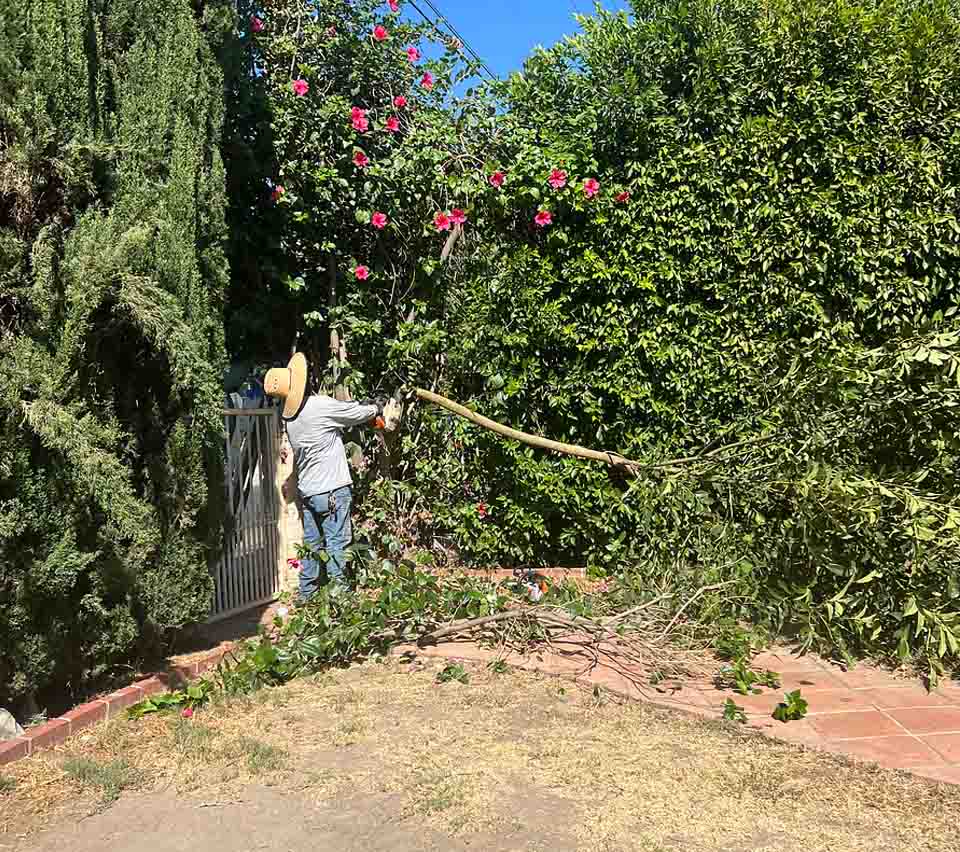 Groundskeeping Services
